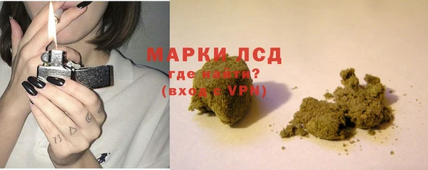 гидра Абаза