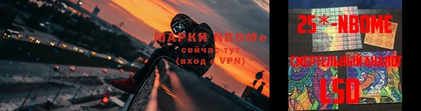 гидра Абаза