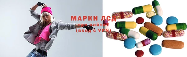 гидра Абаза