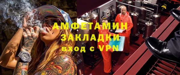 гидра Абаза